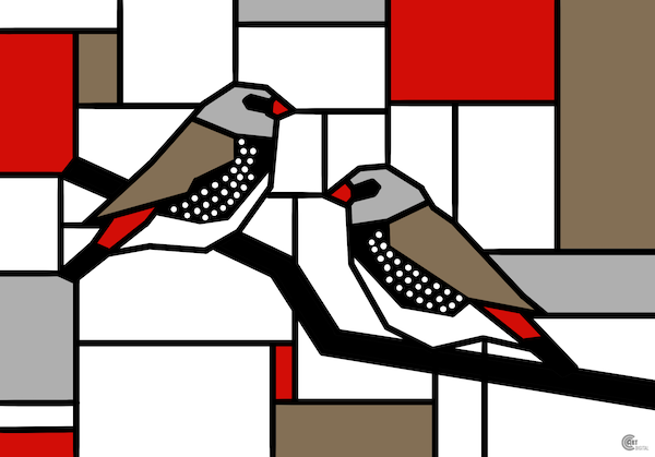 Diamond Firetail