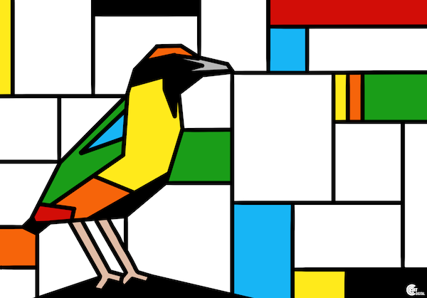 Noisy Pitta