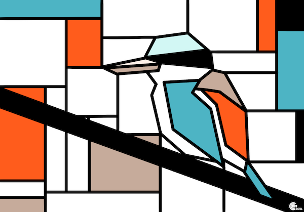 Red-backed Kingfisher