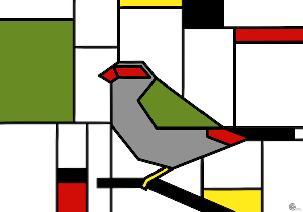 Red Browed Finch