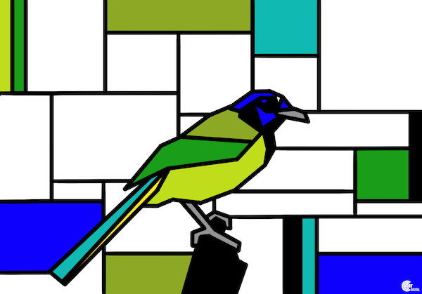 Green Jay