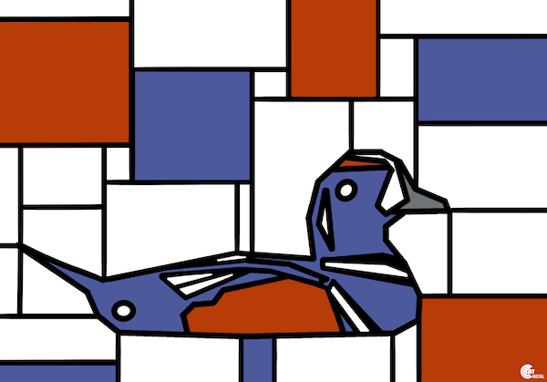 Harlequin Duck