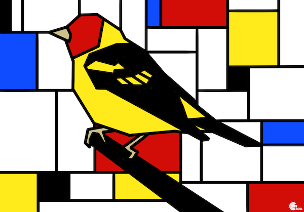 Western Tanager